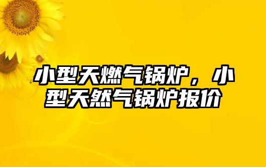 小型天燃?xì)忮仩t，小型天然氣鍋爐報(bào)價(jià)