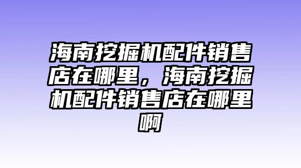 海南挖掘機(jī)配件銷售店在哪里，海南挖掘機(jī)配件銷售店在哪里啊