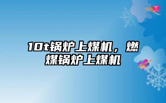 10t鍋爐上煤機(jī)，燃煤鍋爐上煤機(jī)