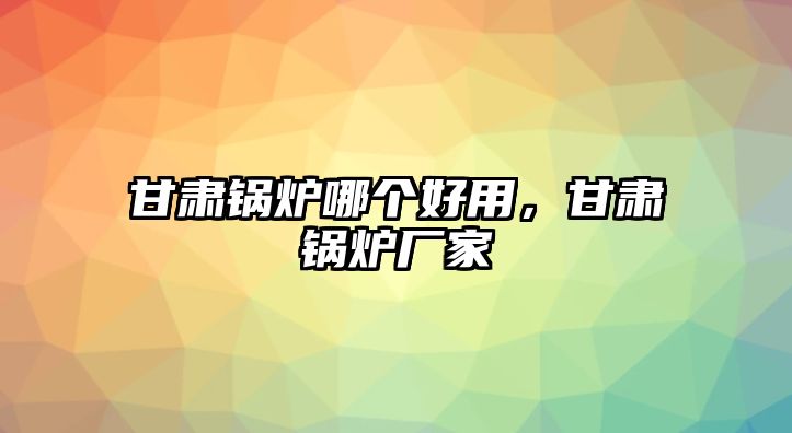 甘肅鍋爐哪個(gè)好用，甘肅鍋爐廠家